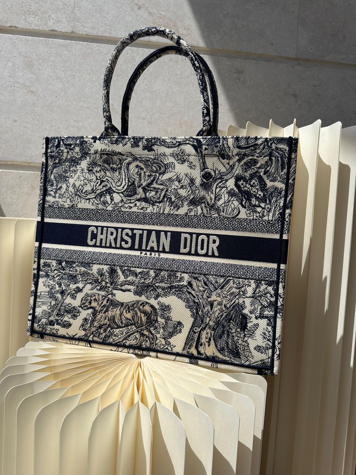 Christian Dior Book Tote - Toile de Jouy Reverse Embroidery